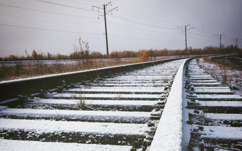 В Коми выпал снег: подборка леденящих фото, доказывающих, что зима пришла