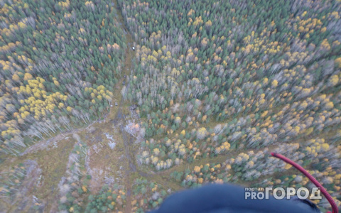 Жительницу Коми, которая заблудилась в лесу, нашли с параплана (фото)