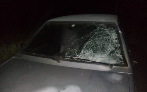 В Коми нетрезвая автоледи на «Ладе» сбила пешехода (фото)