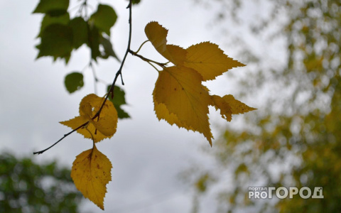 Стало известно, какая погода будет в Коми на этой неделе