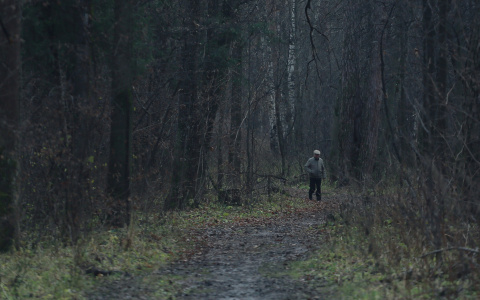 Погода в Сыктывкаре 3 октября: сухо, но холодно