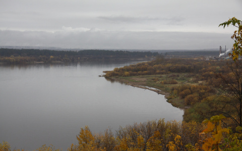 Погода в Сыктывкаре 5 октября: небо затянут тучи