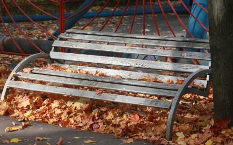 Погода в Сыктывкаре 10 октября: незначительно потеплеет