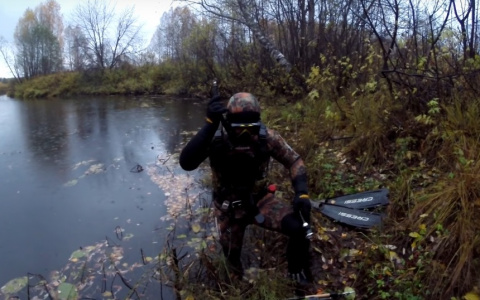 Подводный охотник из Сыктывкара выложил видео из мутной реки, где не водится даже рыба