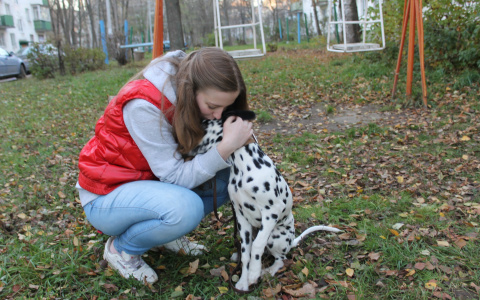 Погода в Сыктывкаре 11 октября: идеально для осенней фотосессии