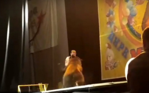 Нападение медведя на дрессировщика в Сыктывкаре прогремело на всю Россию