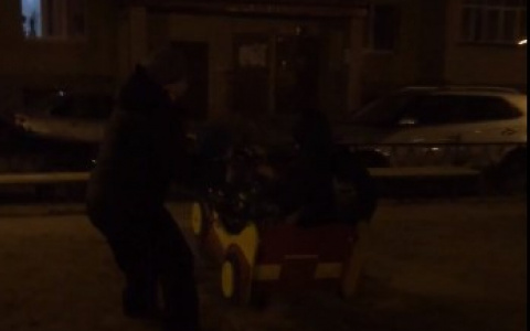 Сыктывкарку, которая насильно вытолкнула детей с площадки, могут привлечь к ответственности