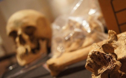 В Коми в хранилище для битума нашли человеческие кости