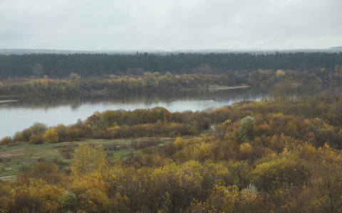 В Коми на берегу реки нашли мумию человека