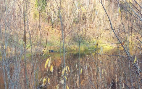 В Коми завершились поиски рыбака, который пропал без вести 3 недели назад