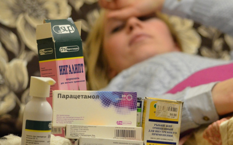 Специалист из Сыктывкара рассказал о смертельной опасности гриппа «Мичиган»