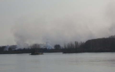 Жители Коми дышат ядовитым воздухом из-за пожара, который не тушат несколько месяцев (фото и видео)