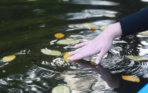 Погода в Сыктывкаре 16 октября: осень без дождя?