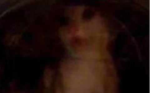 Живодер из Коми, который «постирал» кота, хочет завести нового питомца