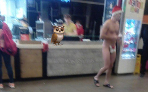 В сыктывкарском «МакДоналдсе» разгуливал голый Дед Мороз (фото)