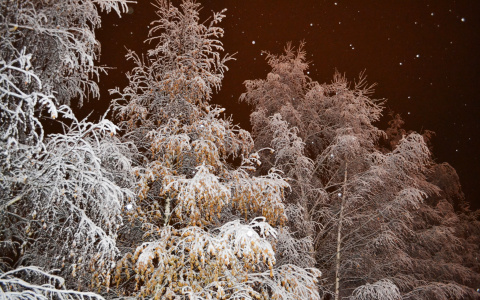Зима близко: на этой неделе в Сыктывкаре пойдет снег