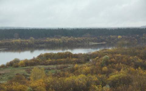 В Коми погиб руководитель усть-цилемского Центра физкультуры, спорта и туризма