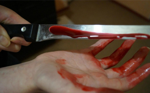 В Коми дочь ударила ножом собственную мать