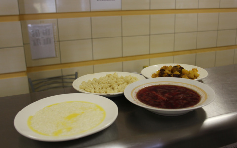 В одном из сыктывкарских кафе подавали блюда с плесенью и кишечной палочкой