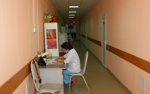 Сотрудник «Ухтахлеб» получил тяжелую травму из-за укуса осы