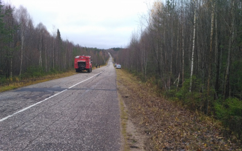 В Коми «Лада» вылетела в кювет и перевернулась (фото)
