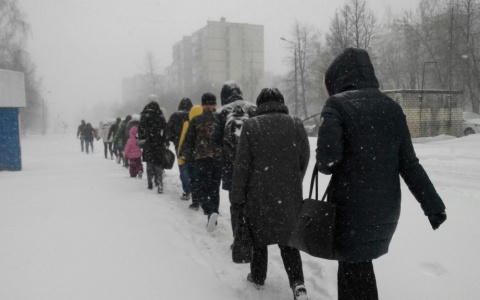 Жители Коми меняются на физиологическом уровне из-за жизни на севере