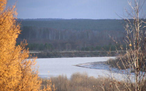 Погода в Сыктывкаре 23 октября: снег и ноль градусов