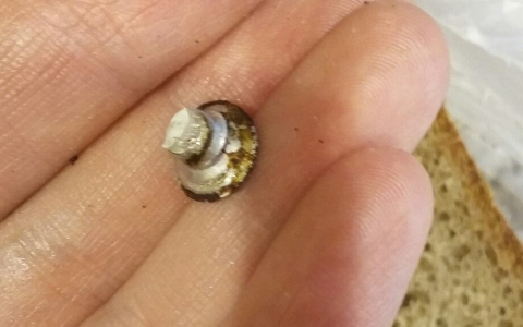 Жительница Коми обнаружила шуруп в купленной буханке хлеба (фото)