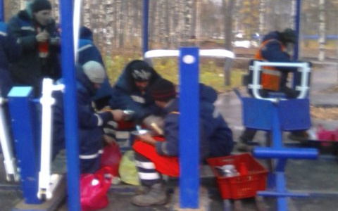 В Сыктывкаре на благоустройстве Мичуринского парка с рабочими обращаются, как со скотом