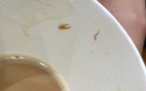 Сыктывкарец обнаружил тараканью лапку в выпитом наполовину кофе на вынос (фото)