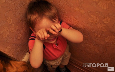 Многодетная мать-одиночка из Коми снова просит помощи