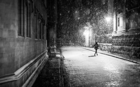 Сыктывкарцев ожидает мерзкая погода