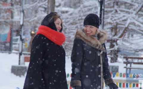 Погода в Сыктывкаре на 29 октября: умеренная облачность, умеренный ветер, умеренный снег