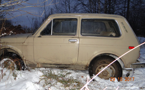 В Коми полицейские открыли огонь по «Ниве» с пьяным водителем за рулем