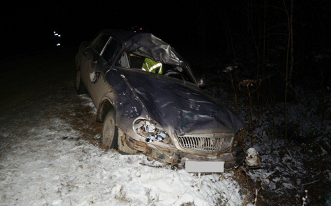 В Коми лось столкнулся с автомобилем: пострадало три человека