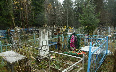 Стало известно, кто таскает еду с кладбищ в Коми (видео)