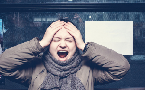 В Сыктывкаре женщина выкинула на помойку 130 тысяч рублей