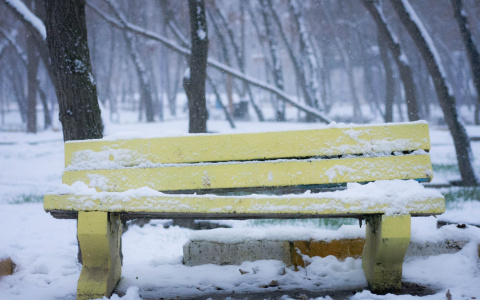 Погода в Сыктывкаре 9 ноября: небольшой, но очень мокрый снег