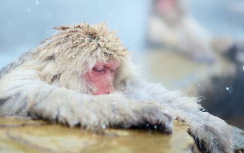 Синоптики сказали, когда Сыктывкар замерзнет