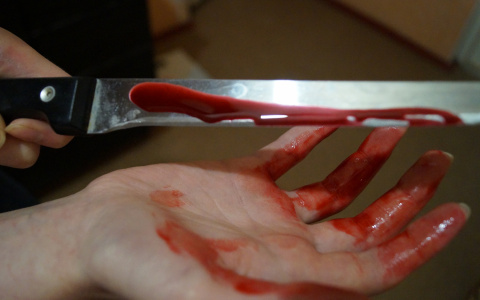 В Коми женщина жестоко расправилась с другом в его день рождения