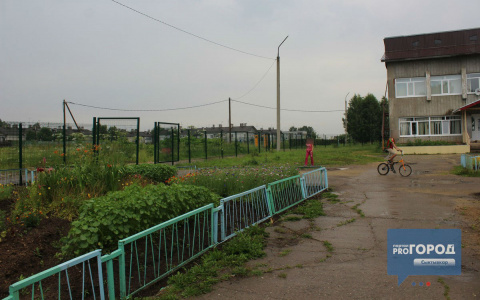 Вину за рубку борщевика в Пажгинском интернате свалили на воспитателя