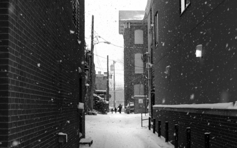 Погода на 13 ноября: на улицах сохраняется слякоть