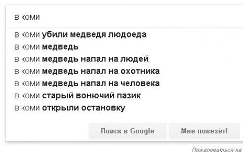 «Гапликов алкоголик» и «вонючий ПАЗик»: подборка странных запросов про Коми