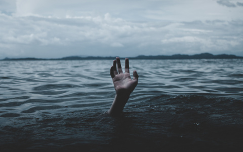 Во всей России зарплаты вырастут, и только в Коми они упадут