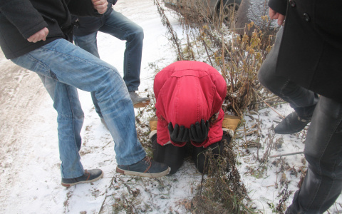 В Сыктывкаре подростки жестоко избили сверстника из-за 150 рублей