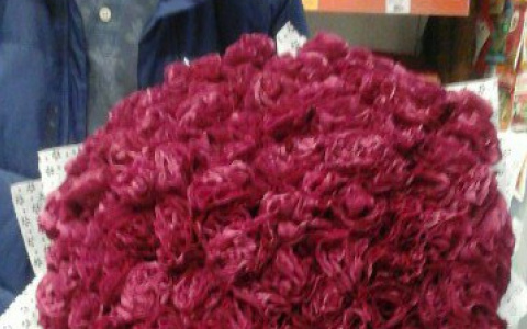 Сыктывкарец решил завоевать сердце девушки необычным способом (фото)