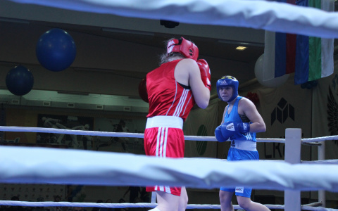 Десятки девушек сразились друг с другом на открытии Кубка России по женскому боксу в Сыктывкаре