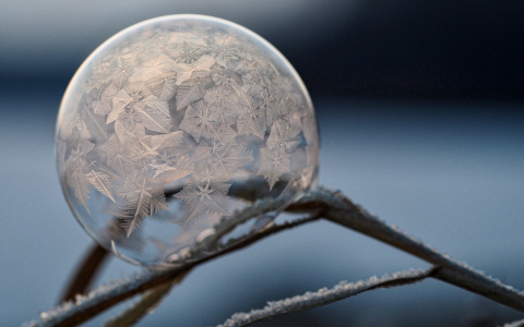 Погода в Сыктывкаре 19 ноября: пора играть в снежки