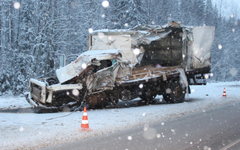 На трассе в Коми «ГАЗ» разворотило после столкновения с лесовозом (фото)