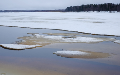 В Коми нашли подростка, который застрял на необитаемом острове посреди реки